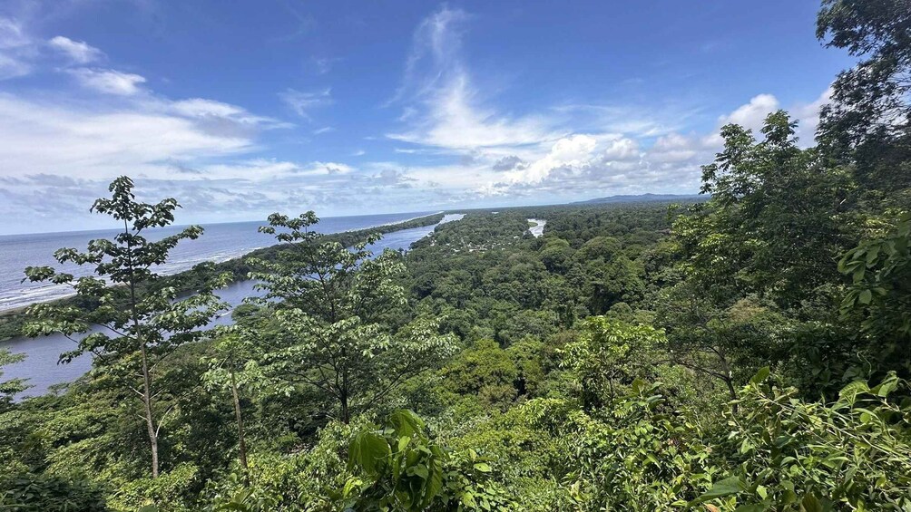 Picture 3 for Activity Parque Nacional Tortuguero: Hiking an Inactive Volcano