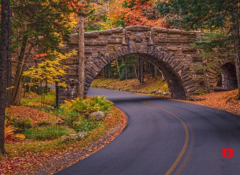 Picture 2 for Activity Acadia National Park: Scenic Coastal Drive Tour Adventure