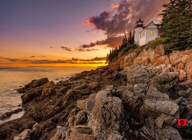 Acadia National Park: Scenic Coastal Drive Tour Adventure