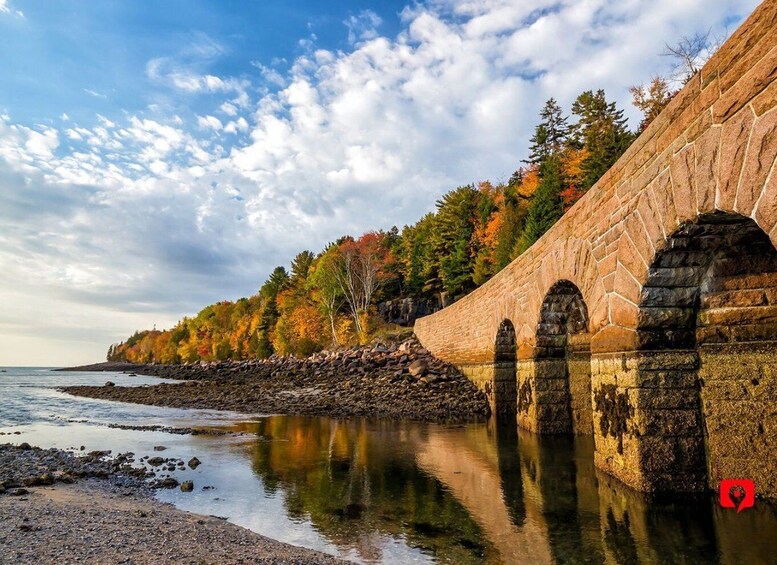 Picture 4 for Activity Acadia National Park: Scenic Coastal Drive Tour Adventure