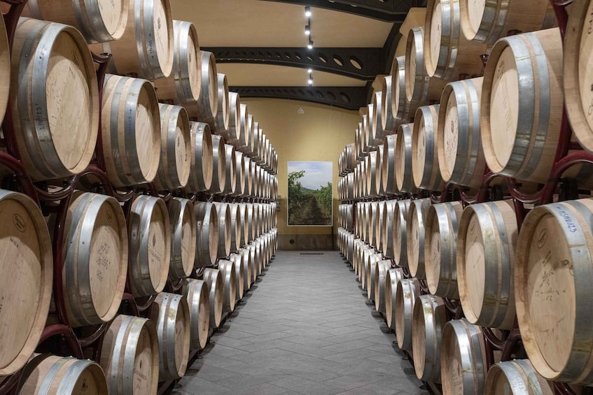 Tour and Premium wine tasting at Duca di Salaparuta