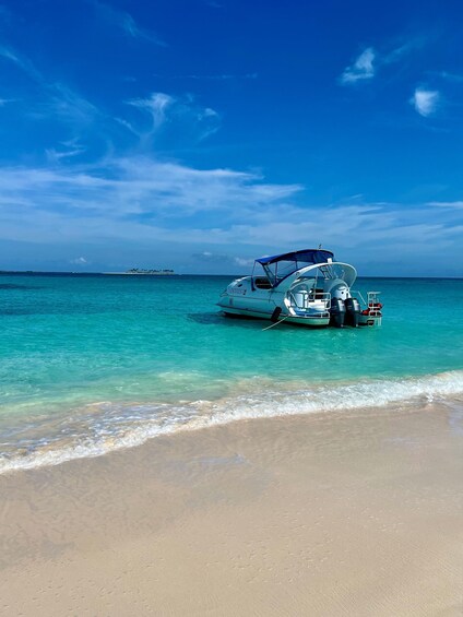 Picture 2 for Activity Paradise Island: Glass-Bottom Boat Tour with Live Commentary