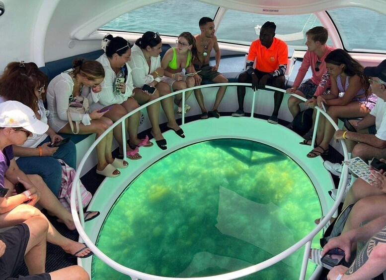 Picture 3 for Activity Paradise Island: Glass-Bottom Boat Tour with Live Commentary