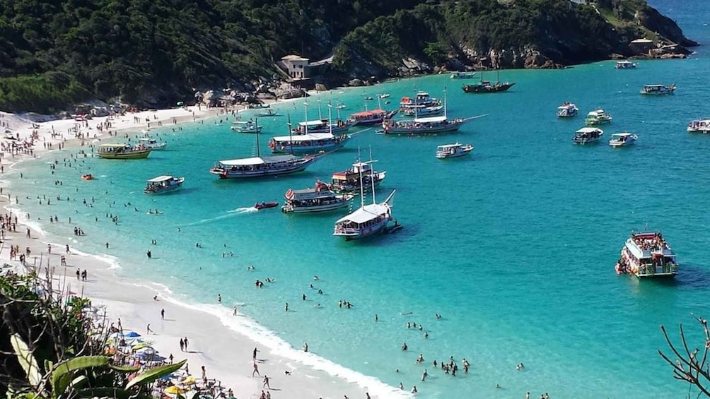 Picture 12 for Activity Arraial do Cabo, the Brazilian Caribbean.