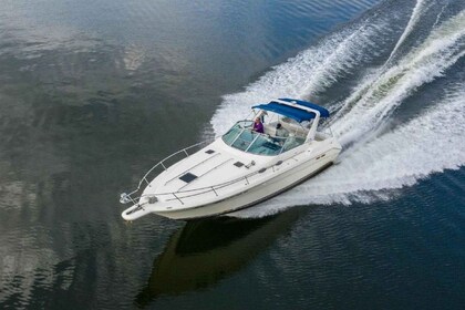 Sea Ray 330 con Capitán para 10 personas!