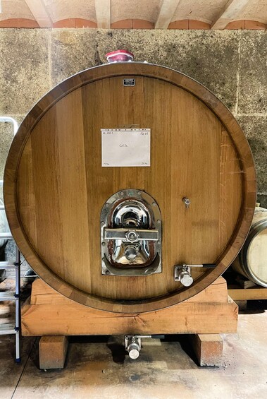 Picture 8 for Activity Montpellier:Half-Day Terrasses du Larzac Wine and grotto