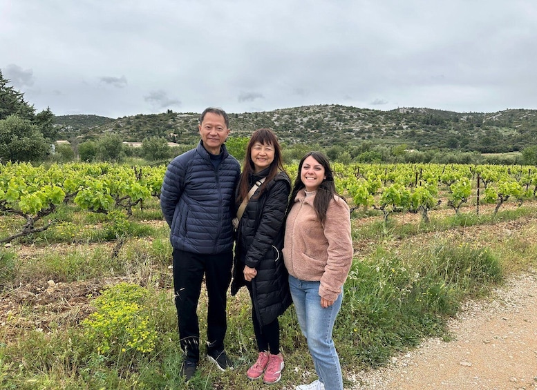 Picture 1 for Activity Montpellier:Half-Day Terrasses du Larzac Wine and grotto