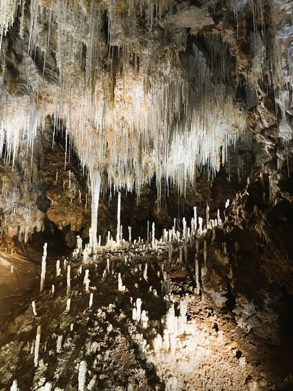 Picture 5 for Activity Montpellier:Half-Day Terrasses du Larzac Wine and grotto