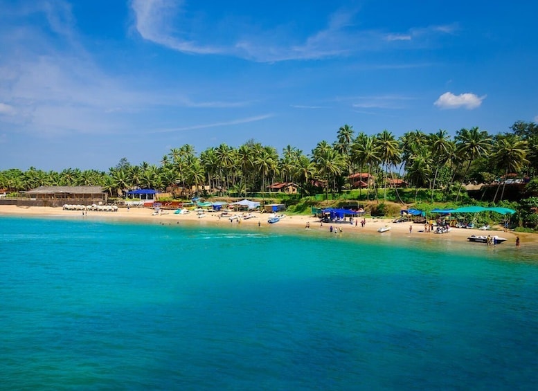 Picture 4 for Activity Goa: Baga Beach & The Basilica of Bom Jesus Highlights Tour