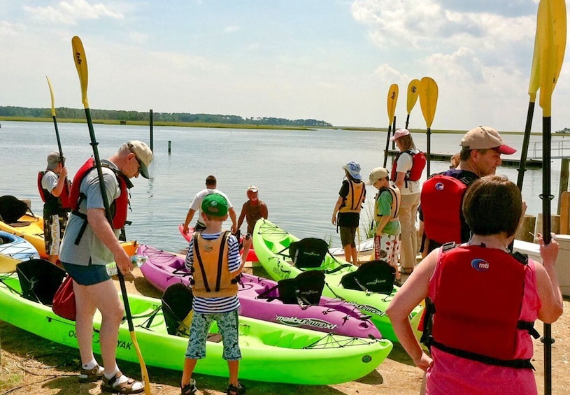 Picture 10 for Activity From Chincoteague: Guided Kayak Tour to Assateague Island