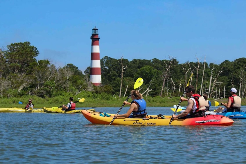 Picture 5 for Activity From Chincoteague: Guided Kayak Tour to Assateague Island