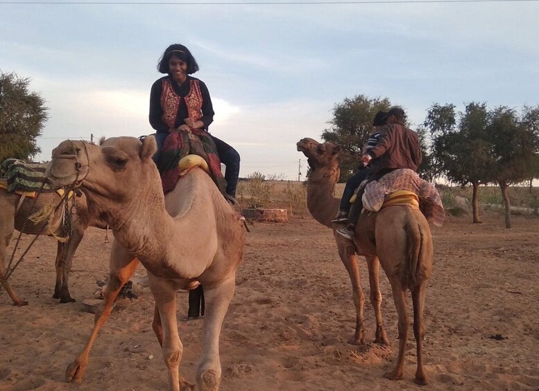 Picture 3 for Activity Jodhpur: Desert Jeep Safari and Camel Safari with Food