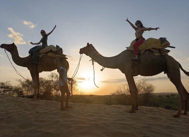 Jodhpur: Desert Jeep Safari and Camel Safari with Food