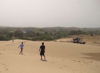 Jodhpur: Desert Jeep Safari and Camel Safari