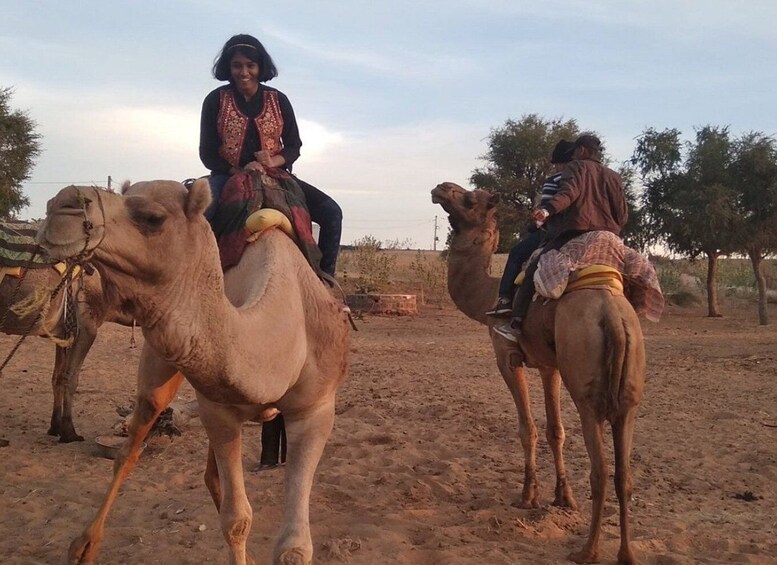 Jodhpur: Desert Jeep Safari and Camel Safari with Food