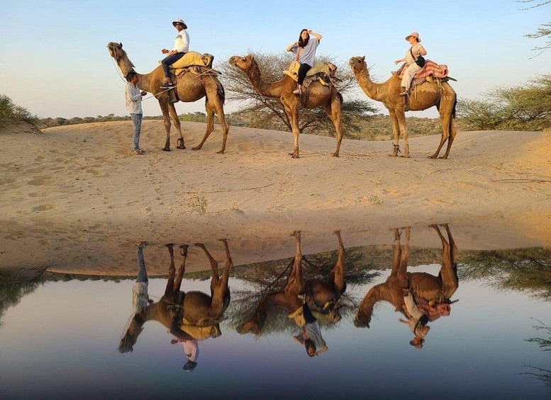 Picture 1 for Activity Jodhpur: Desert Jeep Safari and Camel Safari with Food