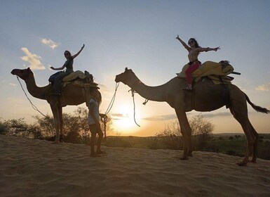 Jodhpur: Desert Jeep Safari and Camel Safari