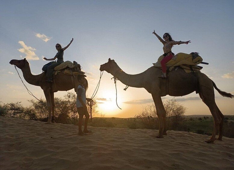 Jodhpur: Desert Jeep Safari and Camel Safari with Food