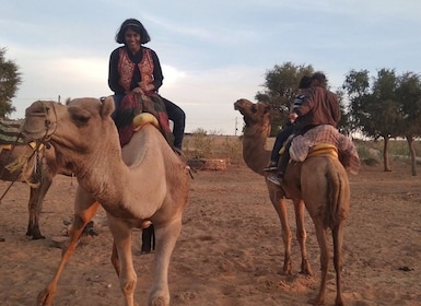 Desde Jodhpur: safari en jeep y camello por el desierto de Thar con almuerz...
