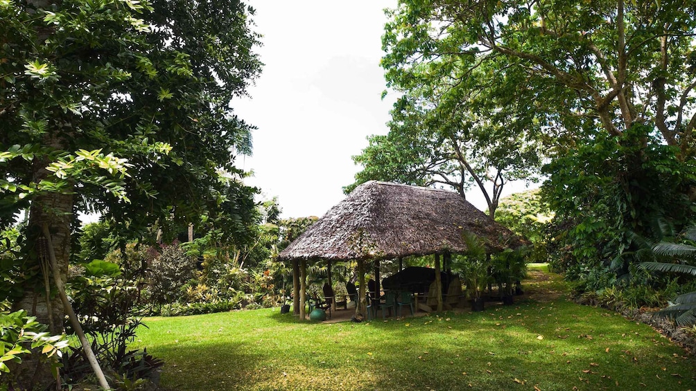 Picture 5 for Activity Efate: Eden on the River's Kava Experience