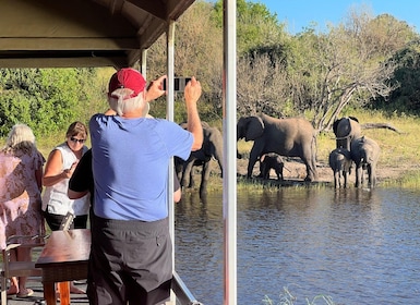 Chobe Day Safari and Boat Safari From Victoria Falls - 8hrs