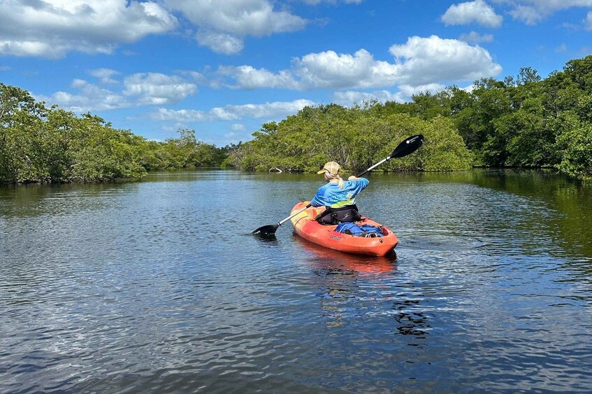 Bradenton: Anna Maria Island Guided Kayaking Manatee Tour