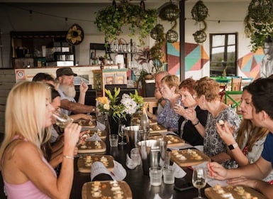 Pokolbin: tour de medio día por Hunter Valley con queso y vino