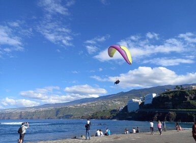 Paragliding in Puerto de la Cruz: start from 2200m high