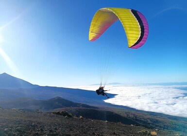 Paragliding from Puerto de la Cruz