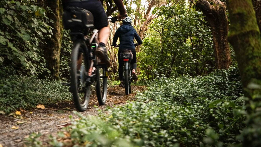 Picture 4 for Activity Remutaka Rail Trail eBike Explorer