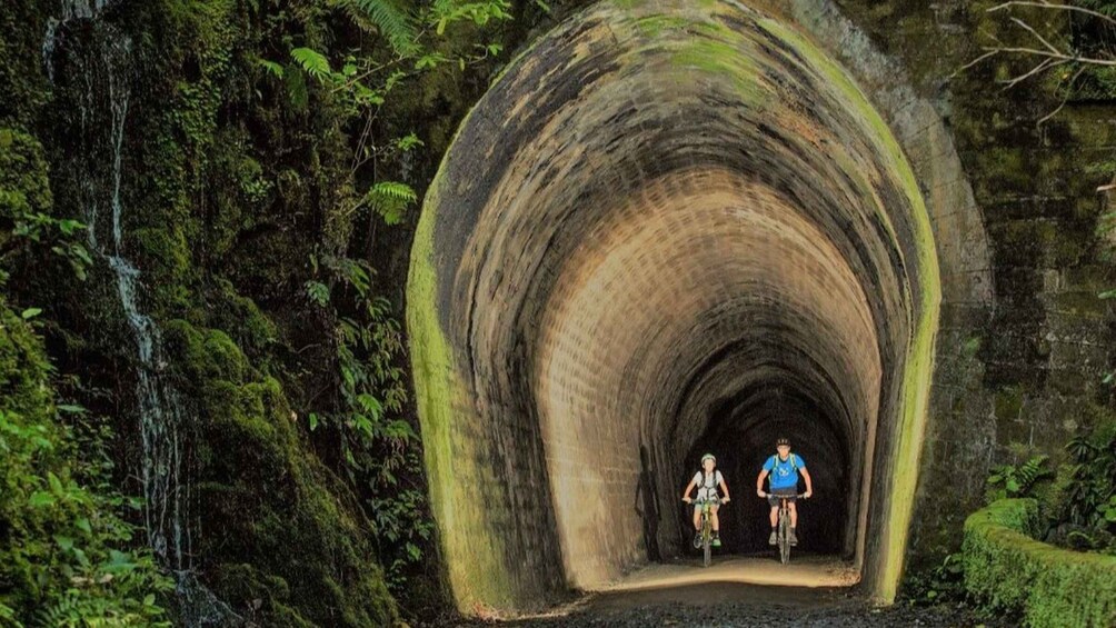 Picture 1 for Activity Remutaka Rail Trail eBike Explorer