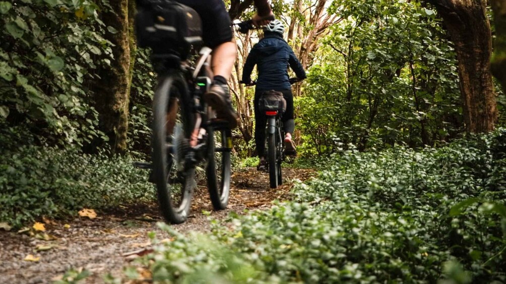 Picture 4 for Activity Remutaka Rail Trail eBike Explorer