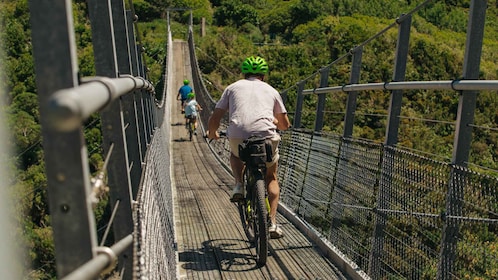 Remutaka 鐵路步道 eBike Explorer