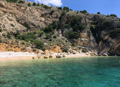 Wild Bays: Swimming and Snorkeling with Capt. Bobo (Private)