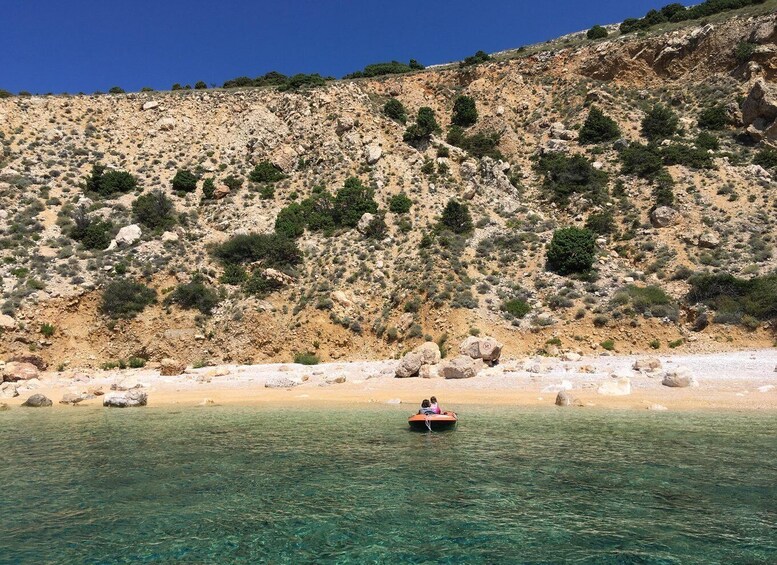 Picture 9 for Activity Wild Bays: Swimming and Snorkeling with Capt. Bobo (Private)