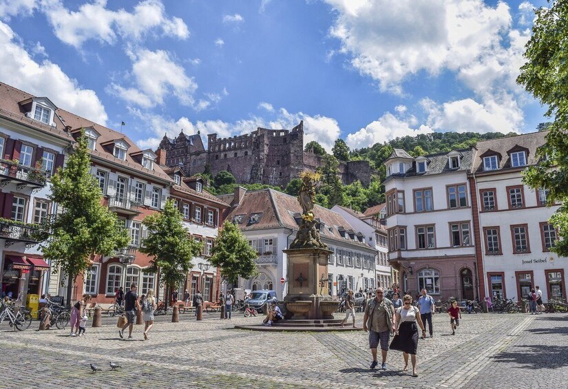 Picture 9 for Activity Heidelberg - Old Town tour Including Castle visit