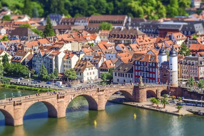 Heidelberg - Old Town tour Including Castle visit