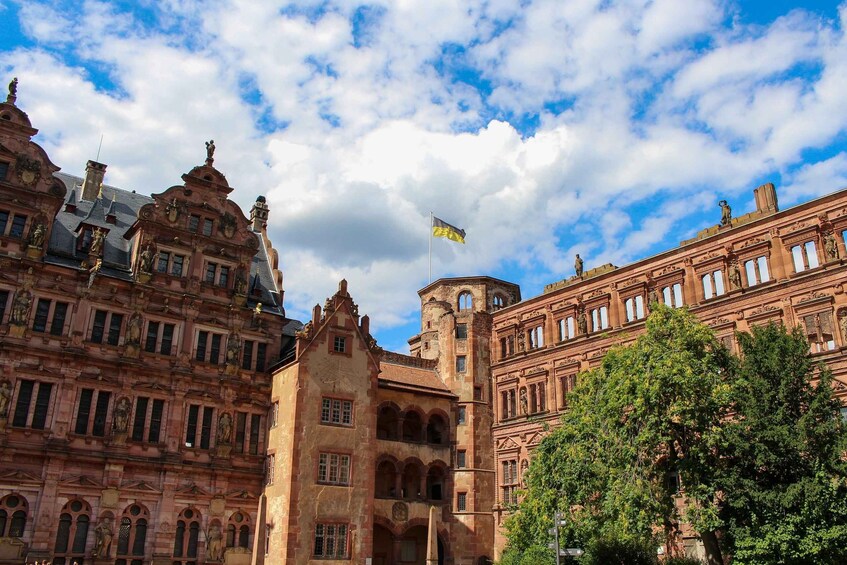 Picture 3 for Activity Heidelberg - Old Town tour Including Castle visit