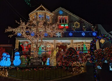 Tour nocturno de luces navideñas