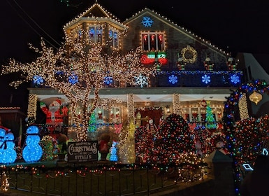 Christmas Light Night tour