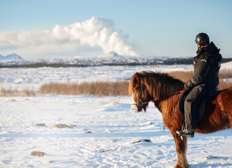 Picture 9 for Activity Hafnarfjörður: Horseback Riding Tour in Reykjavik Area