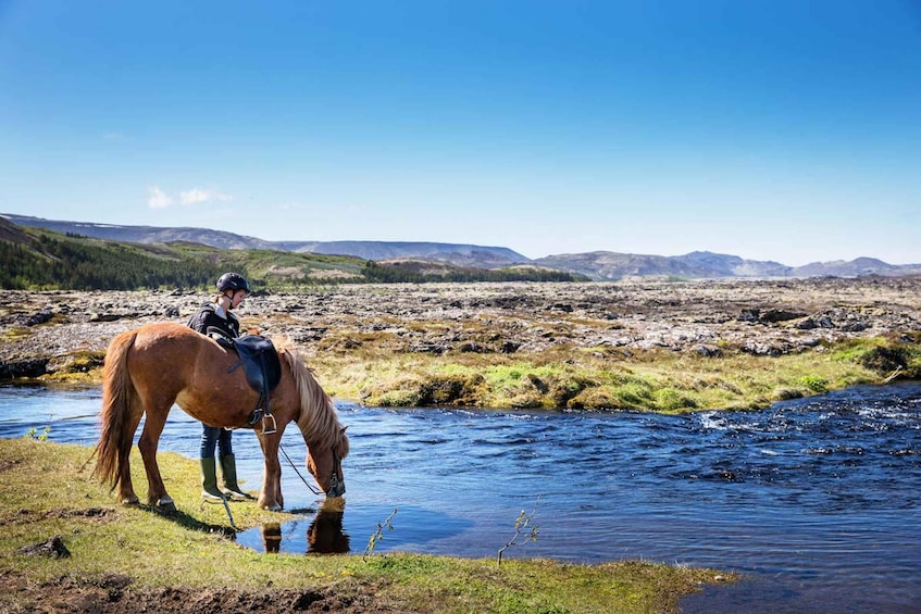Picture 3 for Activity Hafnarfjörður: Horseback Riding Tour in Reykjavik Area