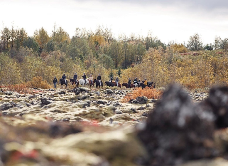 Picture 6 for Activity Hafnarfjörður: Horseback Riding Tour in Reykjavik Area