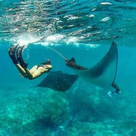 Bali - Nusa Penida Highlight Snorkeling and Land Tour
