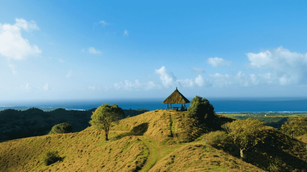 Picture 1 for Activity Mauritius: Bel Ombre Nature Reserve 4x4 Safari Adventure