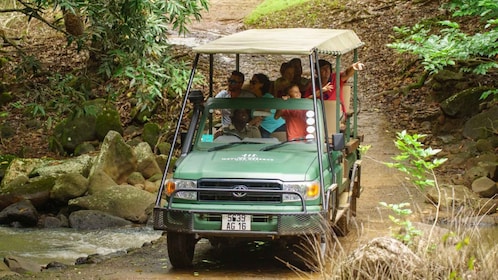 Mauritius: Bel Ombre Nature Reserve 4x4 Safari Adventure
