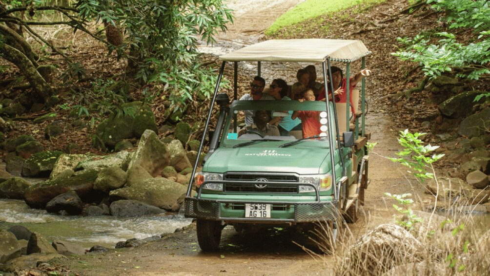 Picture 2 for Activity Mauritius: Bel Ombre Nature Reserve 4x4 Safari Adventure