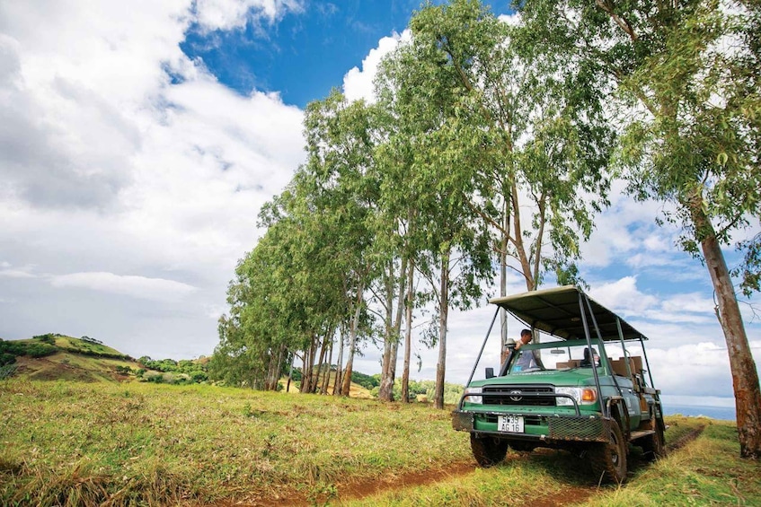 Picture 4 for Activity Mauritius: Bel Ombre Nature Reserve 4x4 Safari Adventure