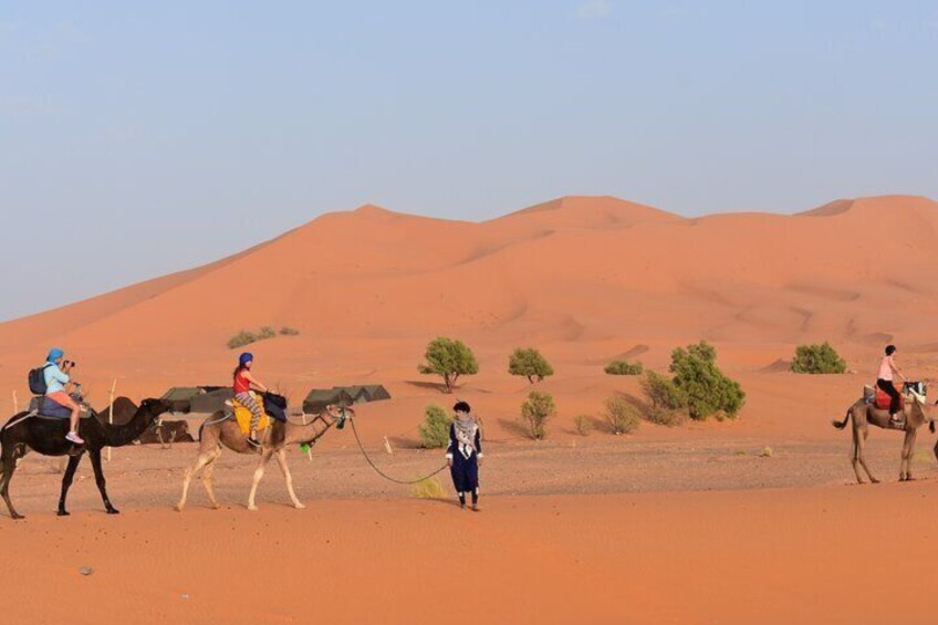 Ride on camels in the desert of Merzouga