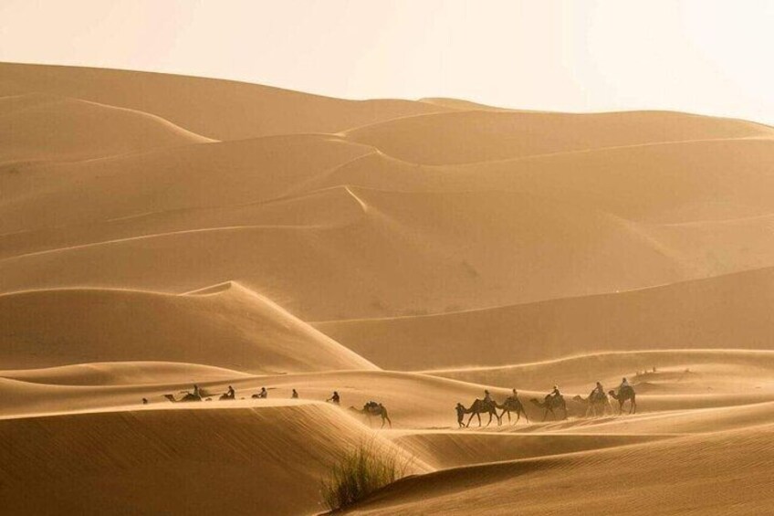 3-day Merzouga desert tour ending in Fez